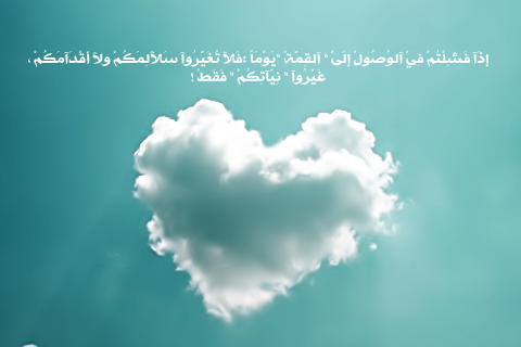 bntpal_1495887076_85