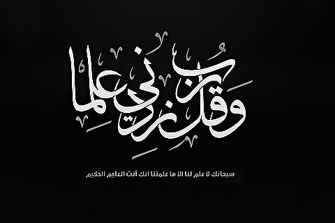 bntpal_1495887077_99