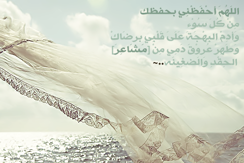 bntpal_1495887078_68