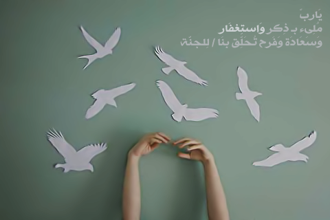 bntpal_1495887078_68
