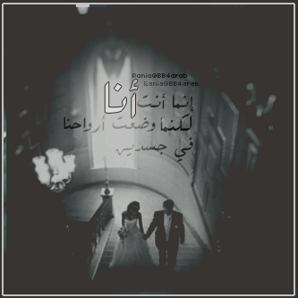 bntpal_1496090060_41