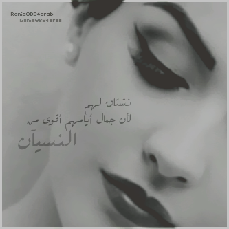 bntpal_1496090061_17