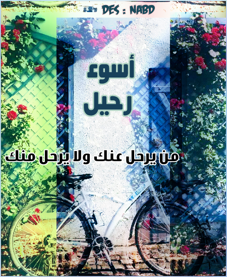 bntpal_1496354724_11