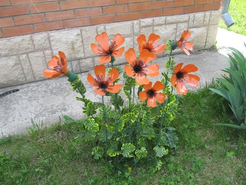  bntpal_1496438117_88