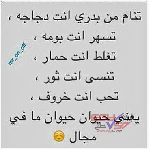 bntpal_1496784378_32
