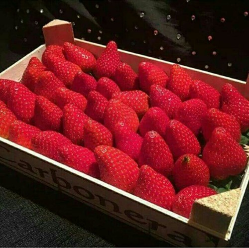 😁 bntpal_1496963151_24