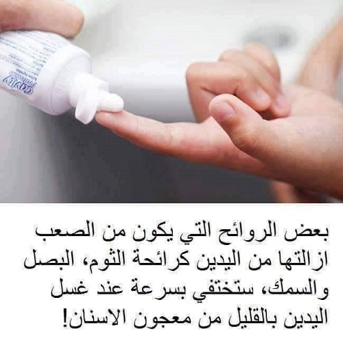  bntpal_1497184276_46