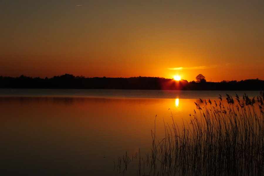 bntpal_1497307364_44