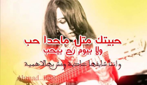 bntpal_1497410038_41