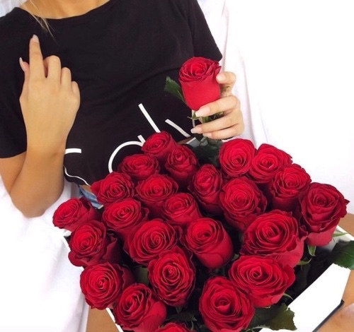 bntpal_1497636878_28