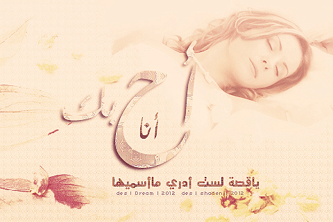bntpal_1497754867_30