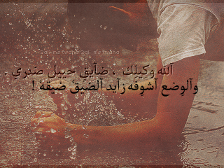 bntpal_1498244772_14