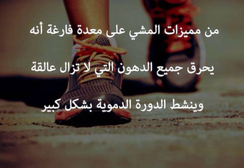 bntpal_1498311330_74