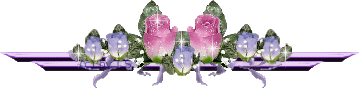bntpal_1498409163_21