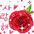 bntpal_1498978884_51