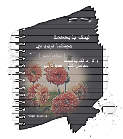 bntpal_1499145197_20
