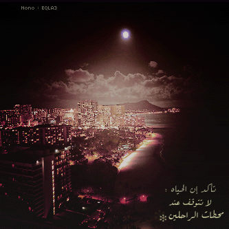 bntpal_1499145309_58