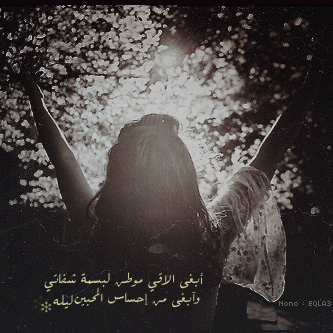 bntpal_1499145309_87