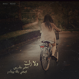 bntpal_1499145310_19