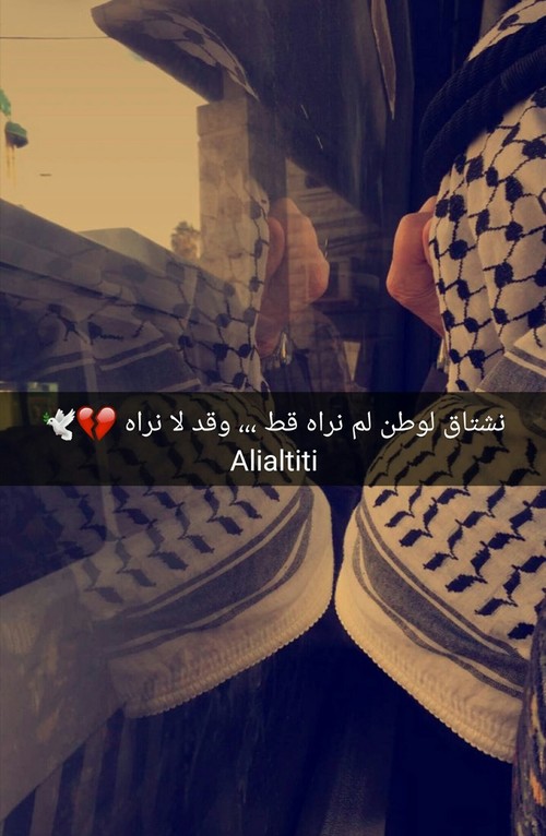 💜 bntpal_1499930484_85