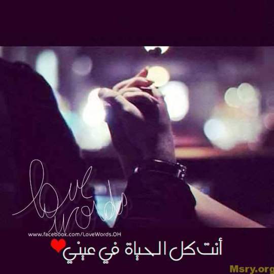 bntpal_1500043648_77