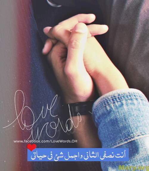 bntpal_1500043648_86