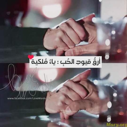 bntpal_1500043649_41