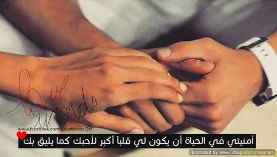 bntpal_1500043649_85