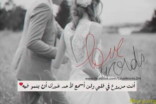bntpal_1500043650_37