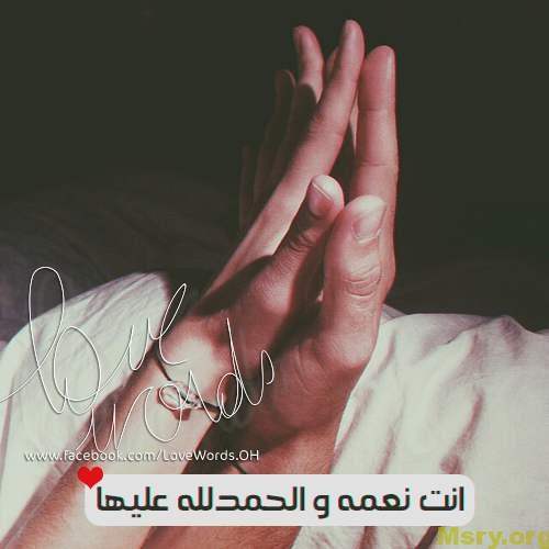 bntpal_1500043650_81