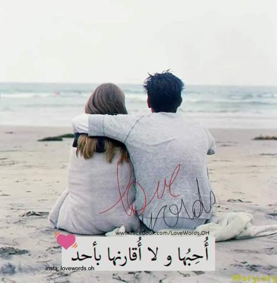 bntpal_1500043956_80