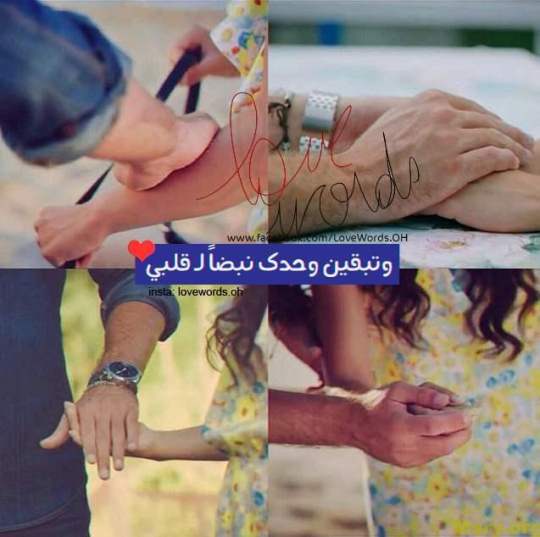 bntpal_1500043957_41