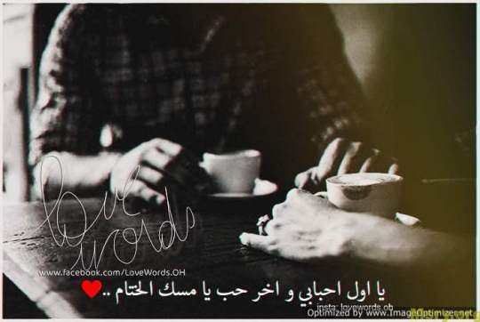 bntpal_1500043957_91