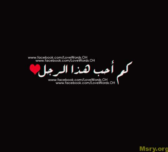 bntpal_1500043958_15