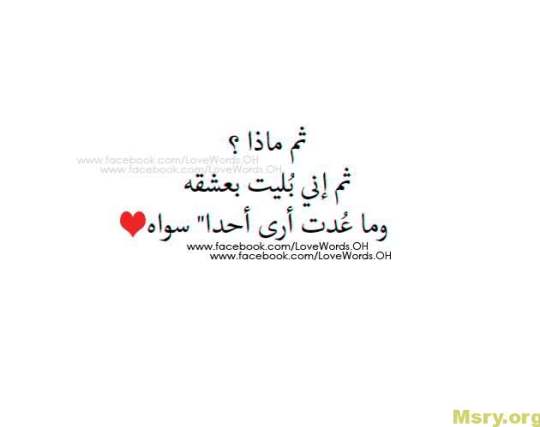 bntpal_1500043958_17