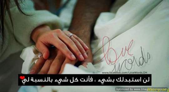 bntpal_1500043958_19