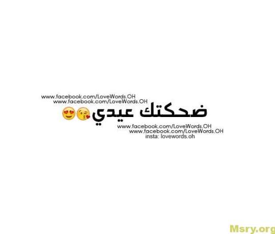 bntpal_1500043958_21