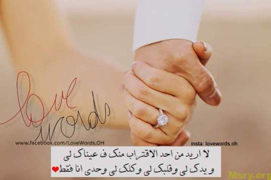 bntpal_1500043958_57