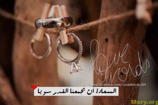 bntpal_1500043958_68