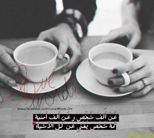 bntpal_1500043958_78
