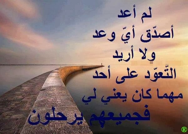 .. bntpal_1500298088_48