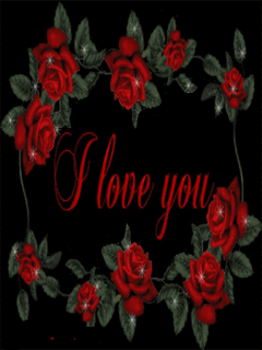 bntpal_1501738628_12