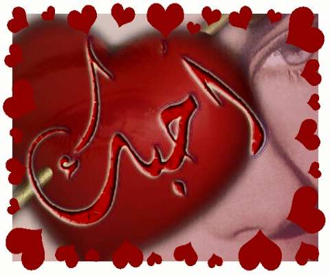 bntpal_1501928128_43