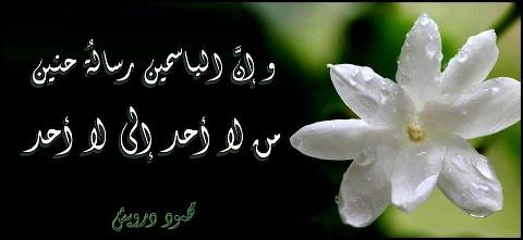 bntpal_1502000616_36