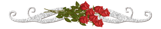  bntpal_1503224737_35