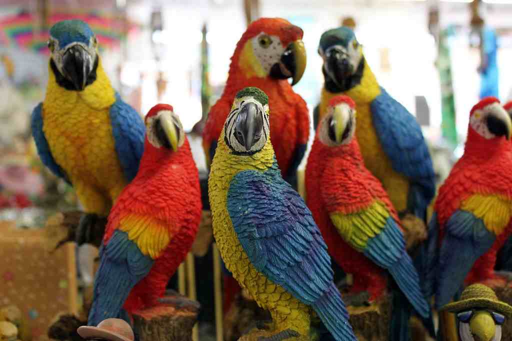 ١٠ bntpal_1503347249_47