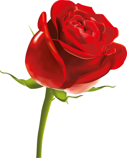 bntpal_1503493091_18