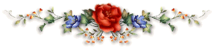 .. bntpal_1504280912_52